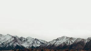 web-design-studio-01.jpg-300x169.jpg